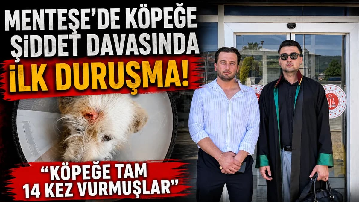 Menteşe'de Köpeğe Şiddet Davası – İlk Duruşma
